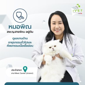 สพ.ญ. สายพิณ อยู่ต้น ( หมอพิณ )